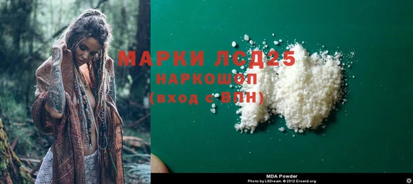 шишки Баксан