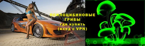 шишки Баксан