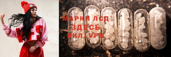 ГАЛЛЮЦИНОГЕННЫЕ ГРИБЫ Балабаново