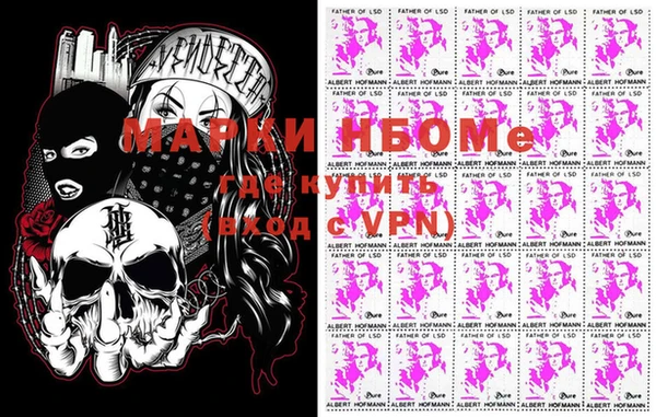 шишки Баксан