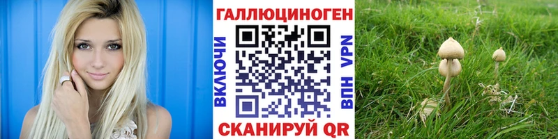 Псилоцибиновые грибы Cubensis  hydra ССЫЛКА  Краснознаменск 
